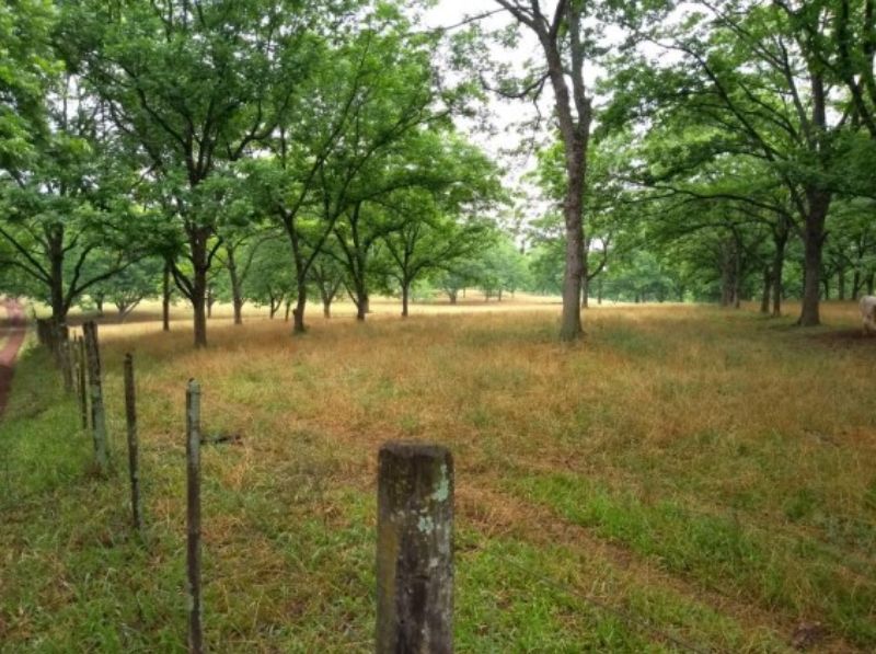 Fração ideal do lote rural, Chpecó (SC), localizado em Chapecó - SC