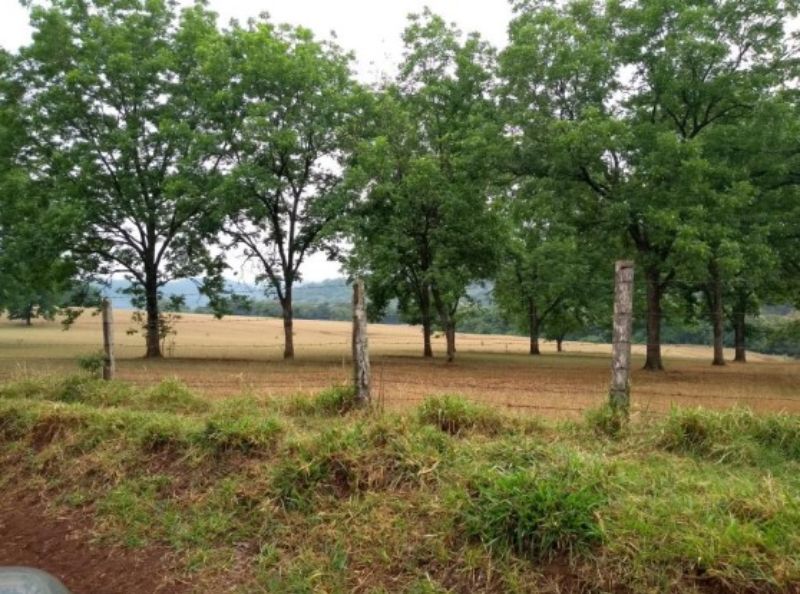 Fração ideal do lote rural, Chpecó (SC), localizado em Chapecó - SC