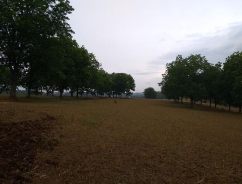 Fração ideal do lote rural, Chpecó (SC), localizado em Chapecó - SC