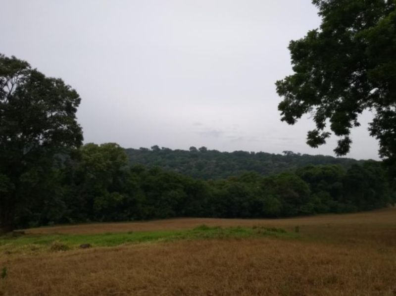 Fração ideal do lote rural, Chpecó (SC), localizado em Chapecó - SC