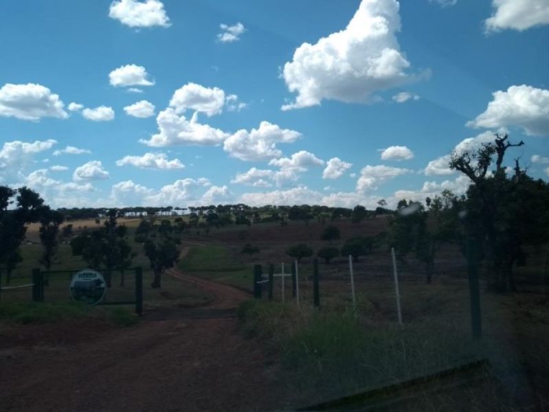 Fração ideal do lote rural, Chpecó (SC), localizado em Chapecó - SC