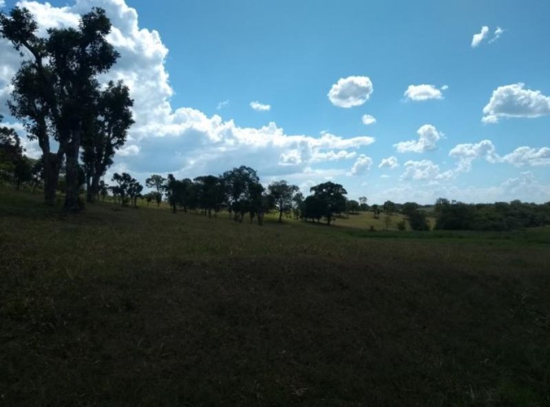 Fração ideal do lote rural, Chpecó (SC), localizado em Chapecó - SC