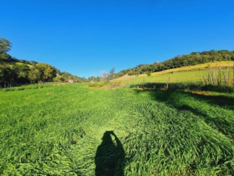 Lotes rurais com área de 69.506,56m², Paraiso/SC, localizado em Paraiso - SC