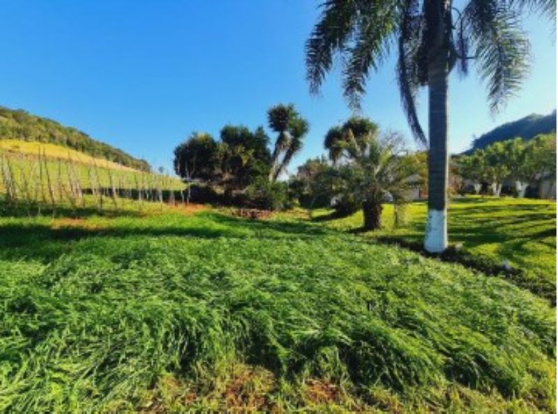 Lotes rurais com área de 69.506,56m², Paraiso/SC, localizado em Paraiso - SC