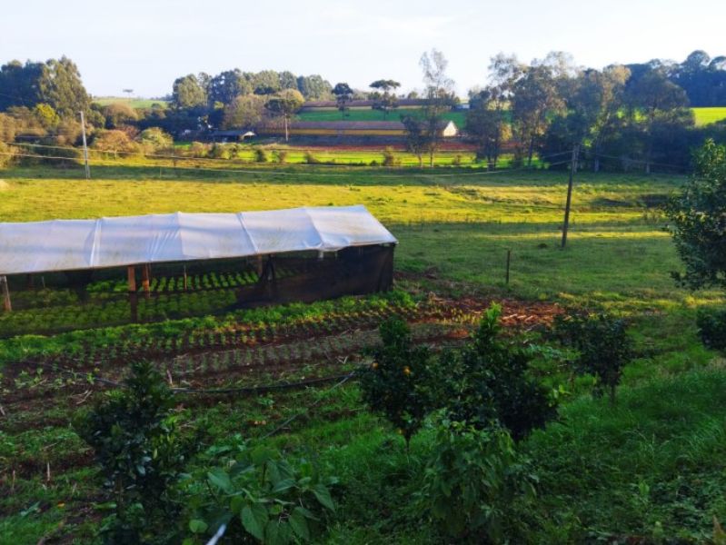 Lote colonial com a área de 39.600,00m², Chapecó, localizado em Chapecó - SC