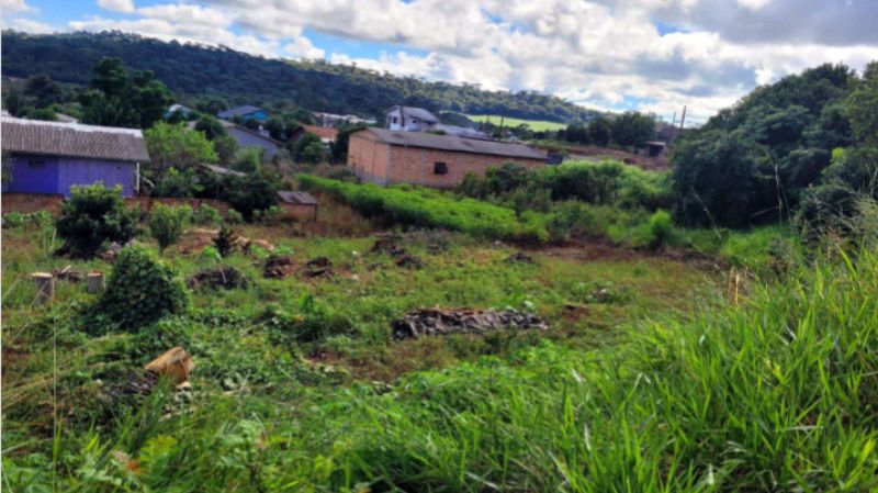 Lote nº 13, localizado em São Domingos - SC