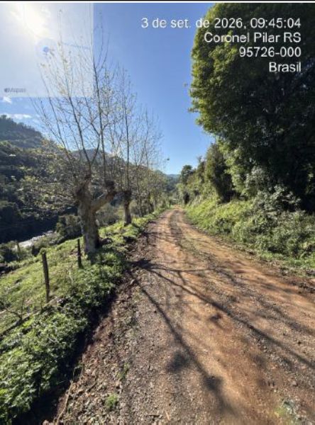 Gleba no Linha Presidente Soares (foto 20 de 21)