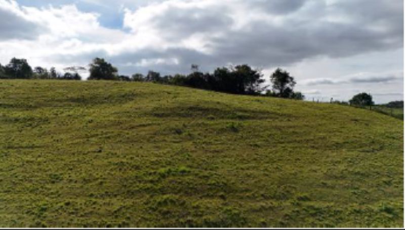Terreno no Bela Vista (foto 17 de 25)