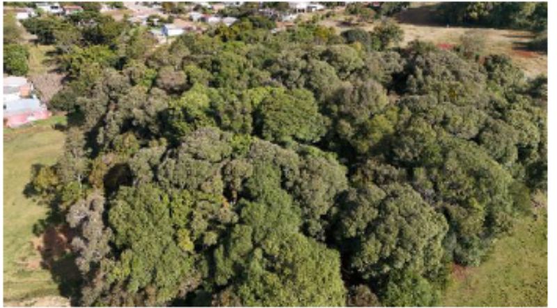 Terreno no Bela Vista (foto 19 de 25)