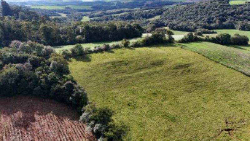 Terreno no Bela Vista (foto 4 de 24)