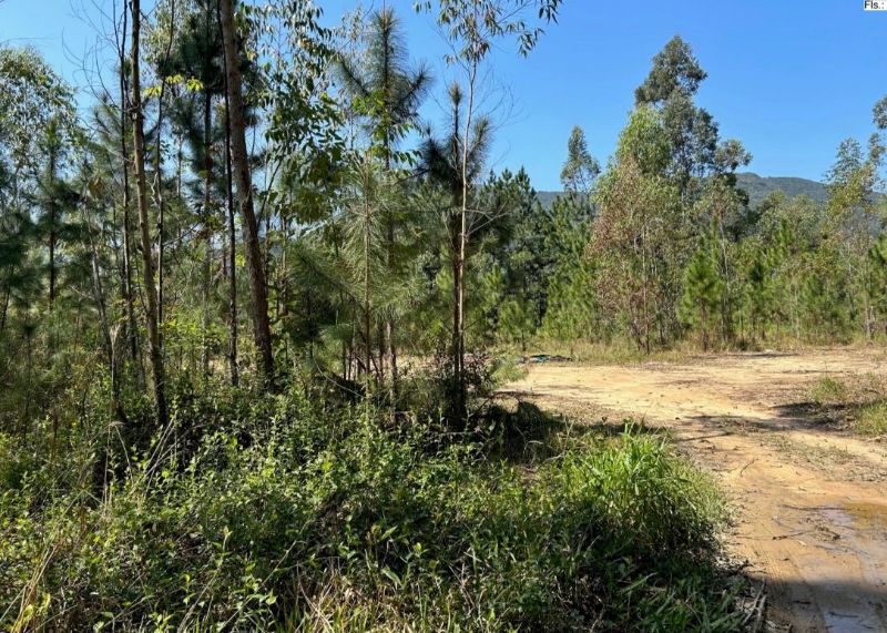 TERRENO área 10.465,00m², CALDAS DA IMPERATRIZ, localizado em Santo Amaro Da Imperatriz - SC