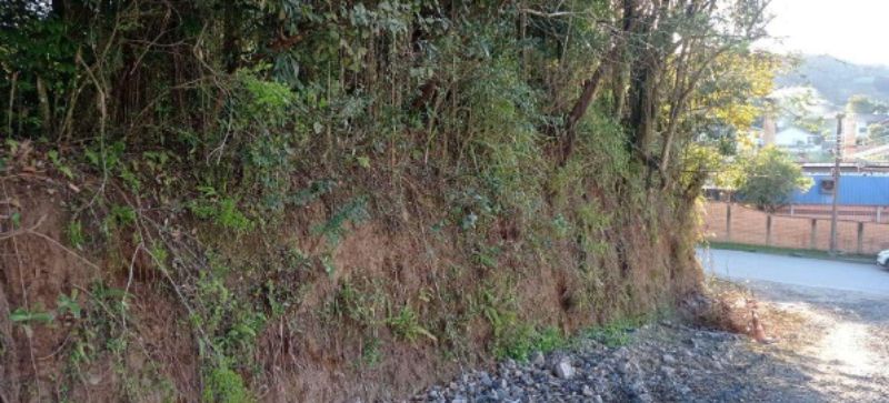 TERRENO TAIO, localizado em Taió - SC