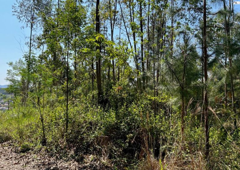 TERRENO SANTO AMARO DA IMPERATRIZ, localizado em Santo Amaro Da Imperatriz - SC