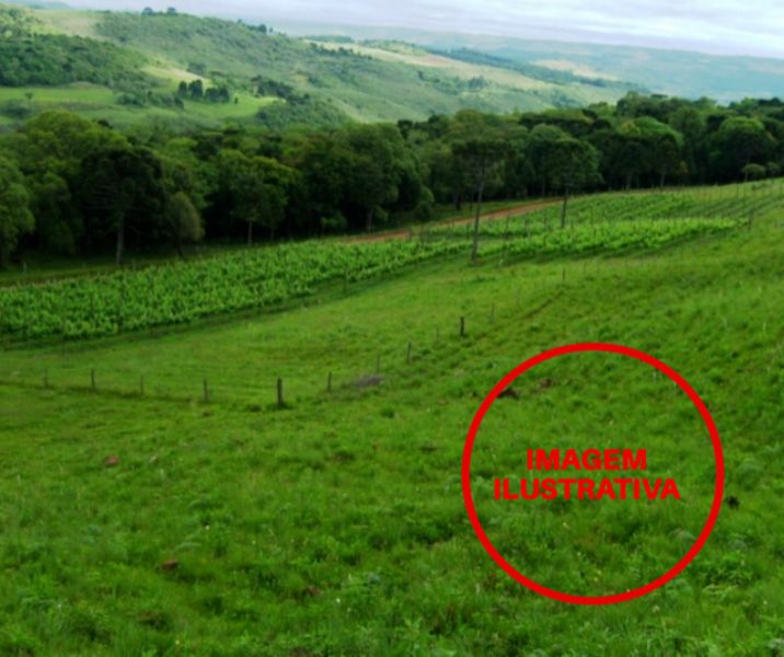 Fração terreno rural - turvo.