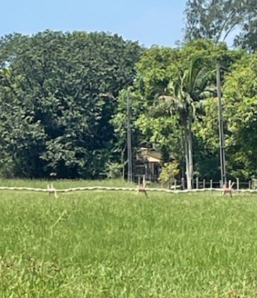 FRAÇÃO TERRENO RURAL SITUADO EM ARROIO DA CRUZ, localizado em Jaguaruna - SC