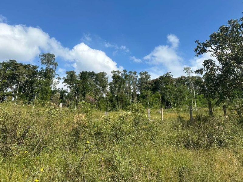 IMÓVEL RURAL PRESIDENTE GETULIO, localizado em Presidente Getúlio - SC