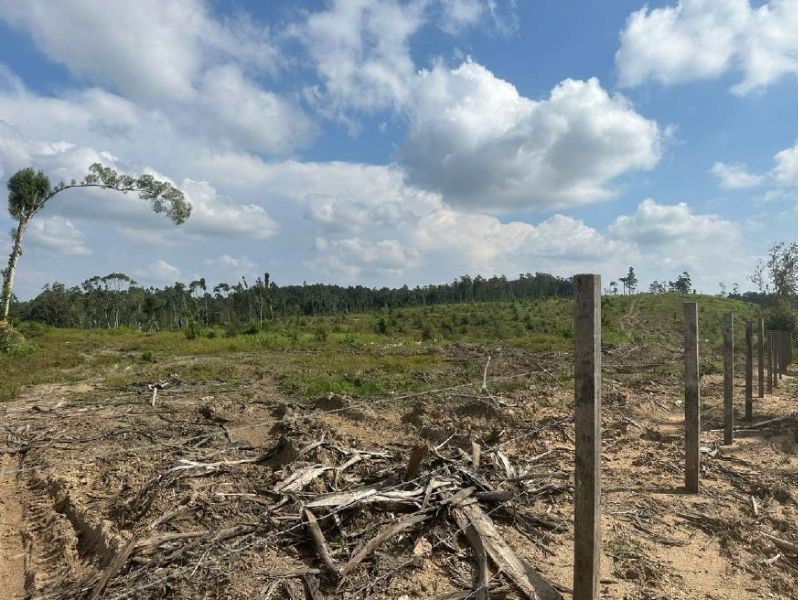 IMÓVEL RURAL PRESIDENTE GETULIO, localizado em Presidente Getúlio - SC