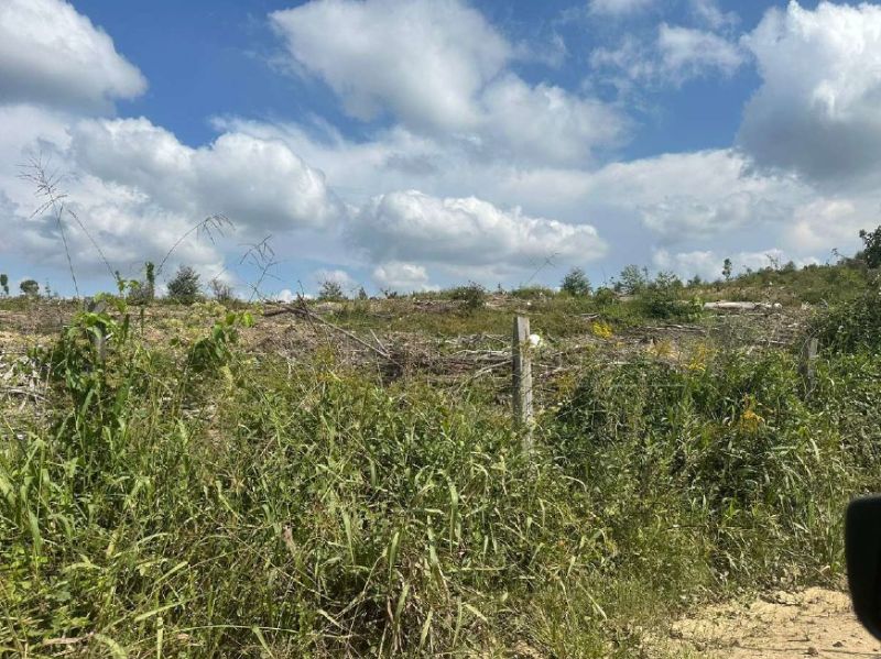 IMÓVEL RURAL PRESIDENTE GETULIO, localizado em Presidente Getúlio - SC