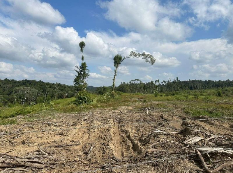 IMÓVEL RURAL PRESIDENTE GETULIO, localizado em Presidente Getúlio - SC