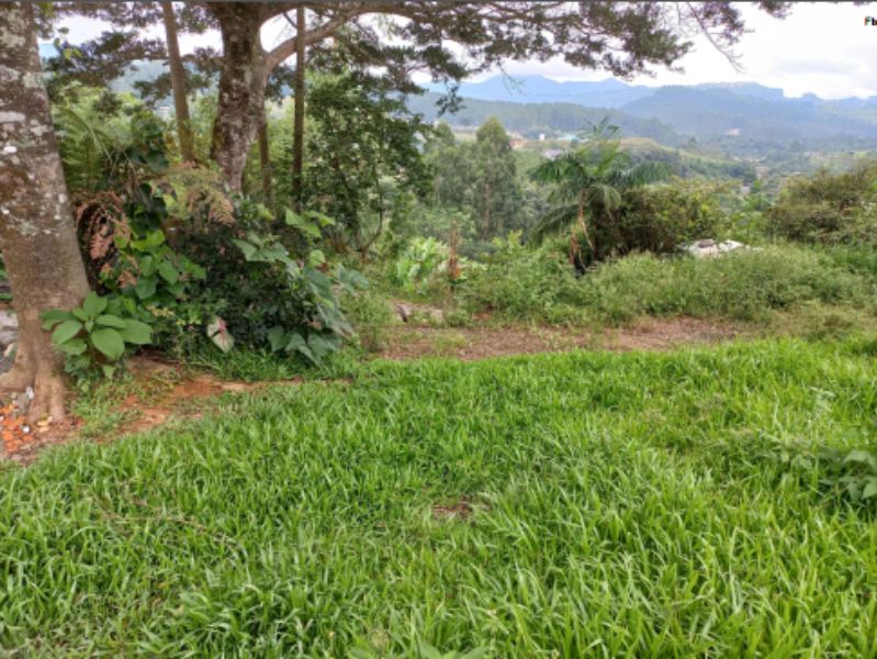 IMÓVEL SALETE, localizado em Salete - SC