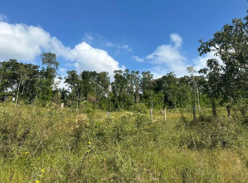 IMÓVEL RURAL 361.787,00 m²  - PRESIDENTE GETULIO, localizado em Presidente Getúlio - SC