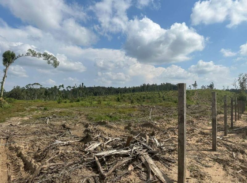 IMÓVEL RURAL 361.787,00 m²  - PRESIDENTE GETULIO, localizado em Presidente Getúlio - SC