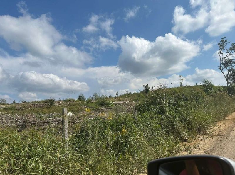 IMÓVEL RURAL 361.787,00 m²  - PRESIDENTE GETULIO, localizado em Presidente Getúlio - SC