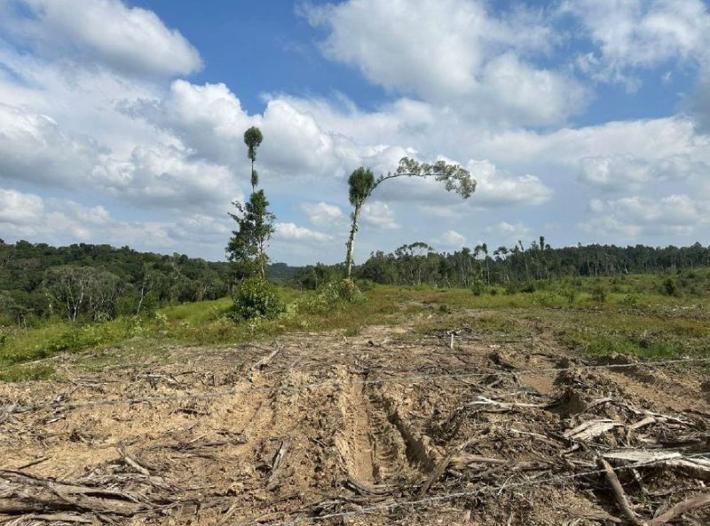 IMÓVEL RURAL 361.787,00 m²  - PRESIDENTE GETULIO, localizado em Presidente Getúlio - SC