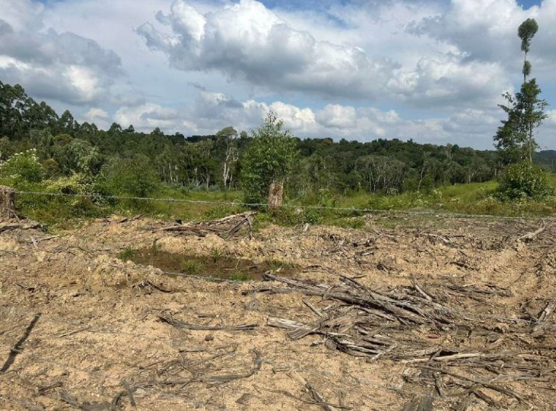 IMÓVEL RURAL 361.787,00 m²  - PRESIDENTE GETULIO, localizado em Presidente Getúlio - SC