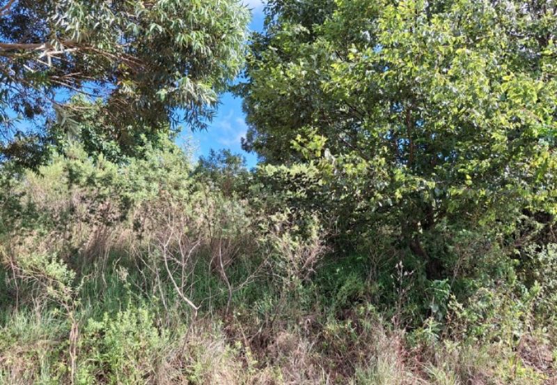 LOTE URBANO - 433,90 m², localizado em Campo Erê - SC, bairro 12 de Novembro