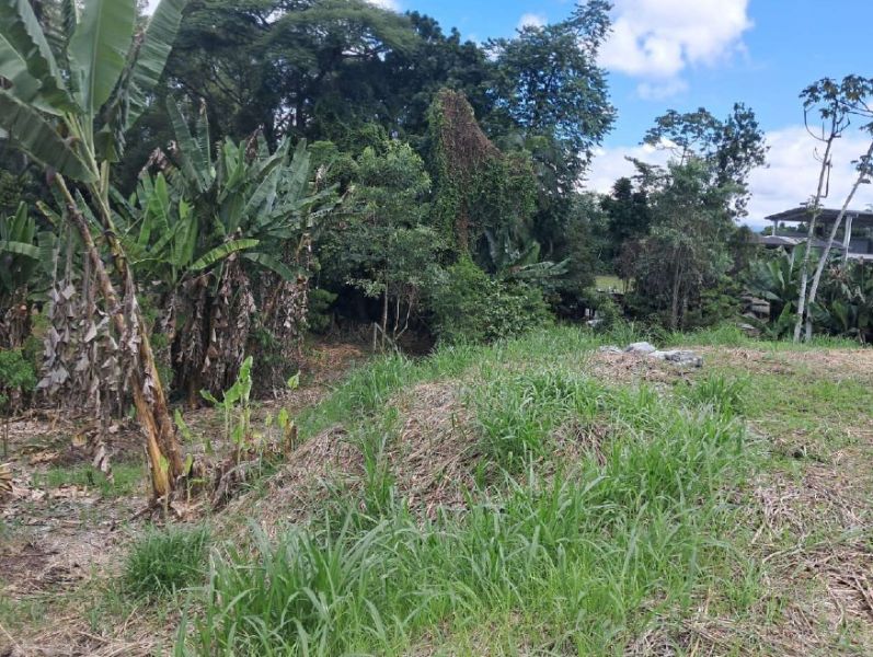 TERRENO JOINVILLE, localizado em Joinville - SC, bairro Pirabeira