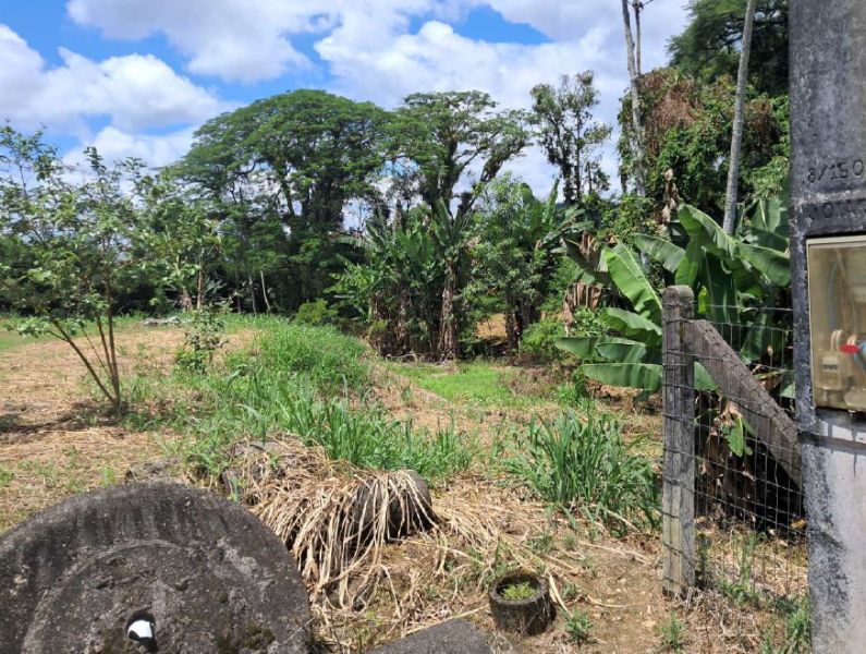 TERRENO JOINVILLE, localizado em Joinville - SC, bairro Pirabeira