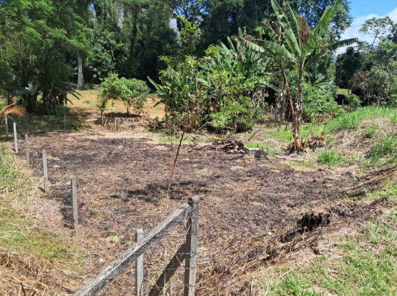 Imagem do imóvel TERRENO JOINVILLE