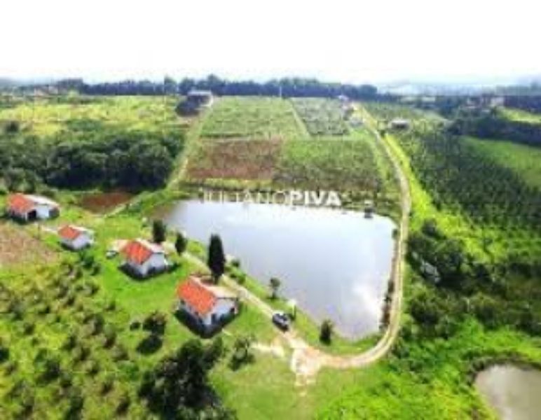 TERRENO COM ÁREA DE 25.319,00M², EM PETROLÂNDIA