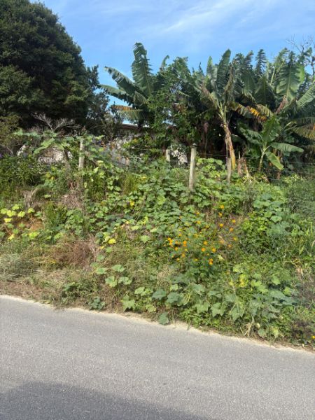Terreno Rural em Treze de Maio- 15.000 m², localizado em Içara - SC