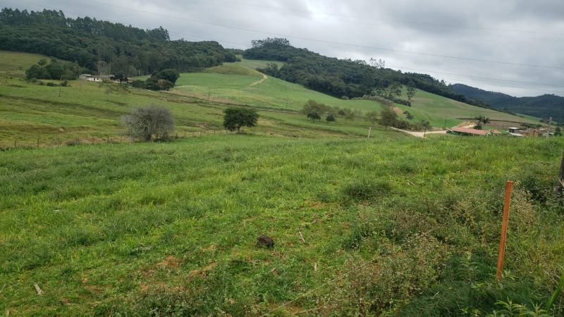 Terreno Rural em Treze de Maio- 15.000 m², localizado em Içara - SC