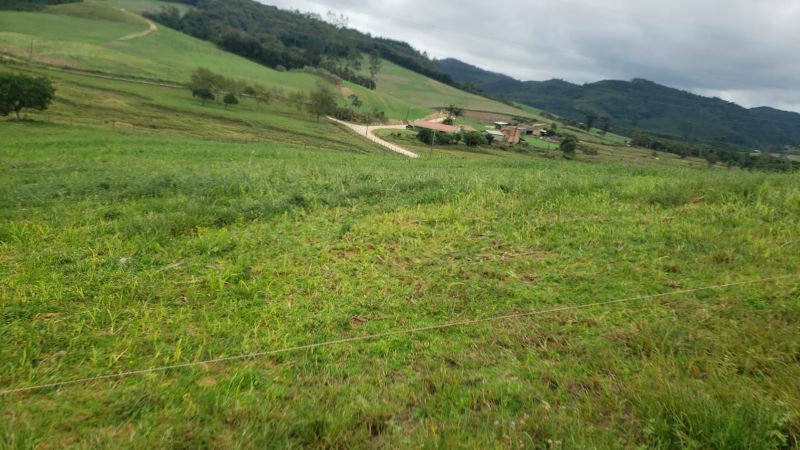 Terreno Rural em Treze de Maio- 15.000 m², localizado em Içara - SC