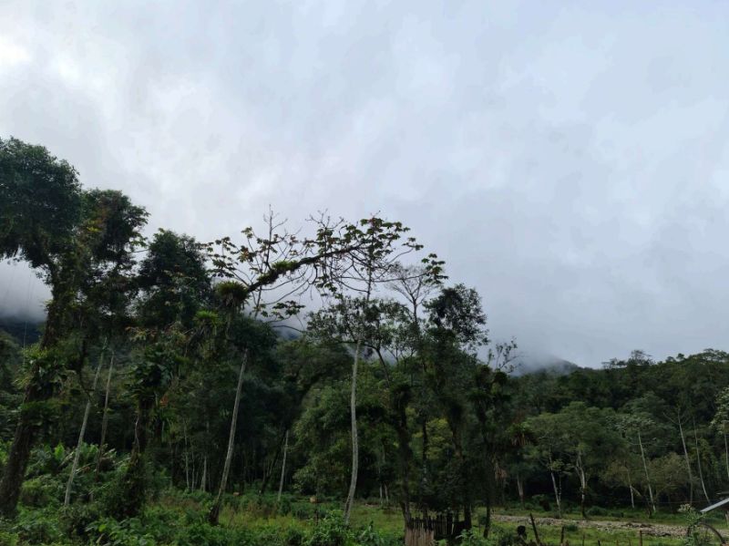 Terreno de 2.371.000,78 m² em Garuva- Quiriri, localizado em Garuva - SC