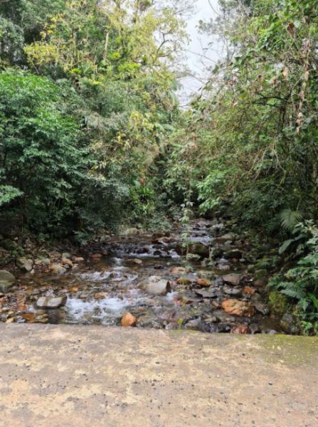 Terreno de 2.371.000,78 m² em Garuva- Quiriri, localizado em Garuva - SC