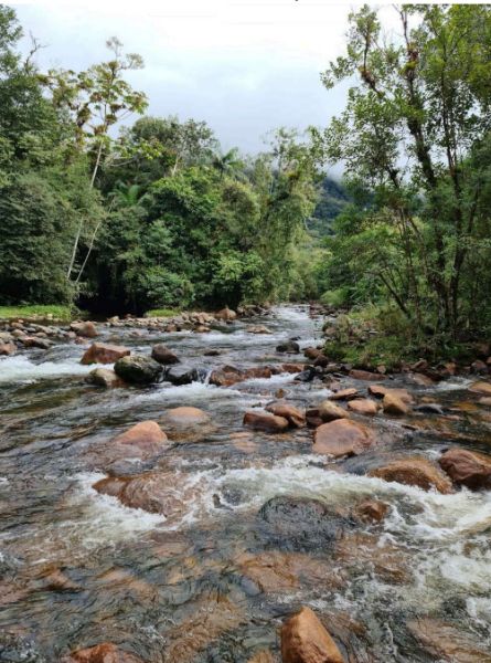 Terreno de 1.493.230,00 m² em Garuva- Quiriri, localizado em Garuva - SC