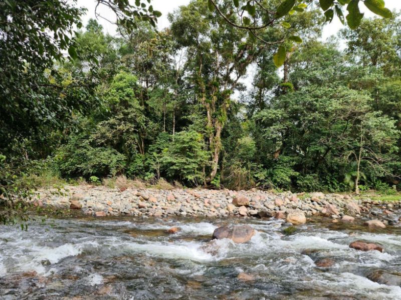 Terreno de 1.493.230,00 m² em Garuva- Quiriri, localizado em Garuva - SC