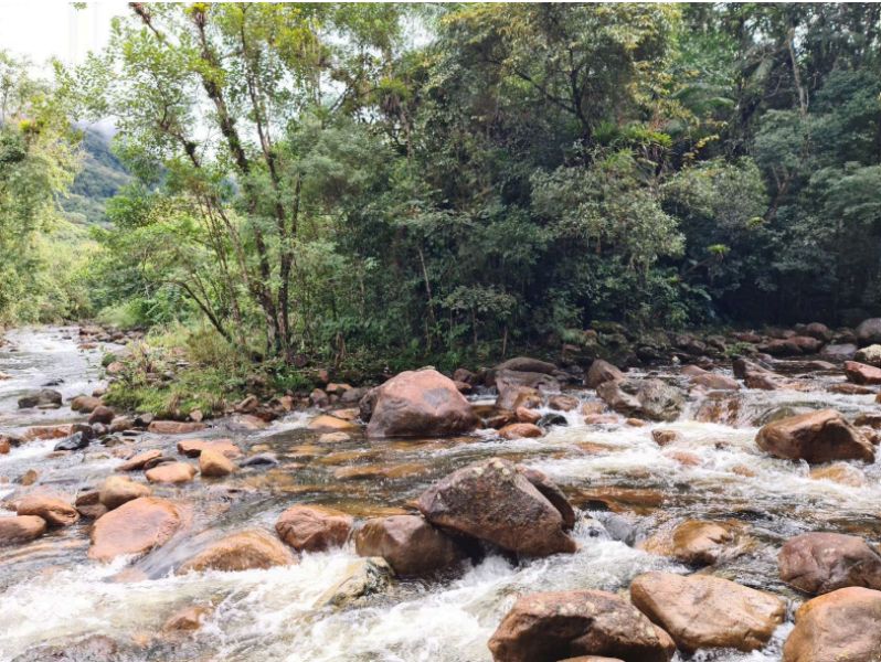 Terreno de 1.493.230,00 m² em Garuva- Quiriri, localizado em Garuva - SC