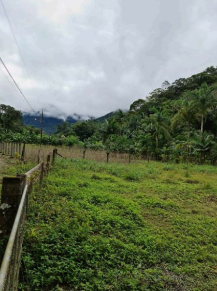 Terreno de 1.493.230,00 m² em Garuva- Quiriri, localizado em Garuva - SC
