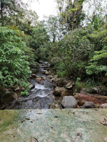 Terreno de 1.493.230,00 m² em Garuva- Quiriri, localizado em Garuva - SC
