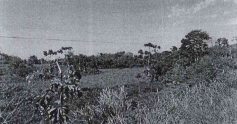 Terreno Rural de 30,0233 hectares - Tarauacá (AC), localizado em Tarauacá - AC