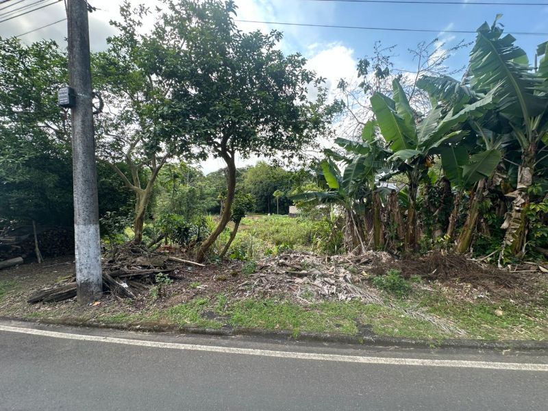 Terreno Urbano de 3.330m² em Nova Veneza, localizado em Nova Veneza - SC, bairro Nova Veneza