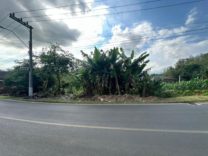 Terreno Urbano de 3.330m² em Nova Veneza, localizado em Nova Veneza - SC, bairro Nova Veneza