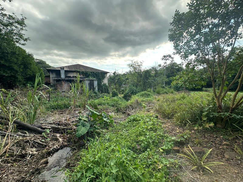 Terreno Urbano de 3.330m² em Nova Veneza, localizado em Nova Veneza - SC, bairro Nova Veneza