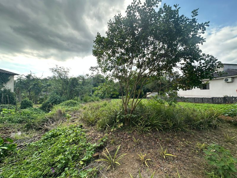 Terreno Urbano de 3.330m² em Nova Veneza, localizado em Nova Veneza - SC, bairro Nova Veneza