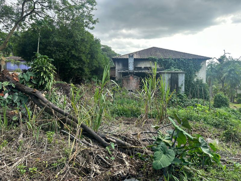 Terreno Urbano de 3.330m² em Nova Veneza, localizado em Nova Veneza - SC, bairro Nova Veneza